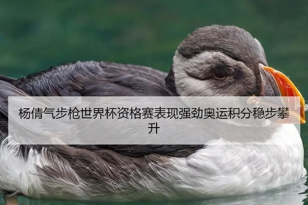 杨倩气步枪世界杯资格赛表现强劲奥运积分稳步攀升